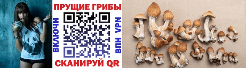 Галлюциногенные грибы ЛСД  Кяхта 